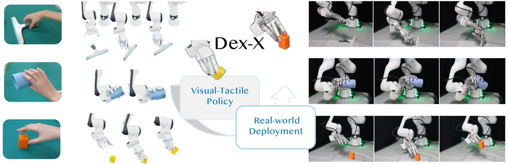 DEX-X